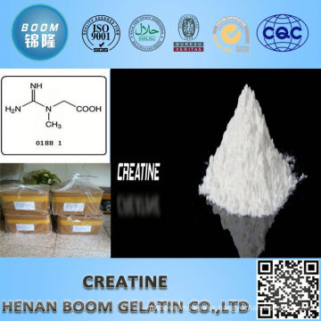 creatine raw powder